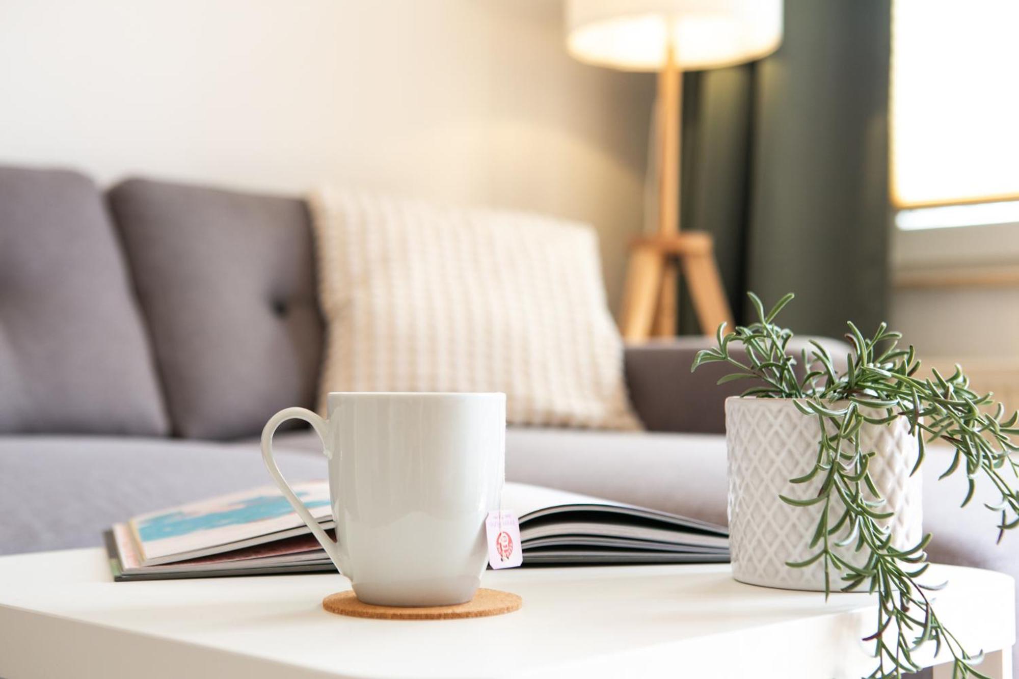 2 Zimmer, Bett Und Schlafsofa, Balkon, Waschmaschine L Leipzig
